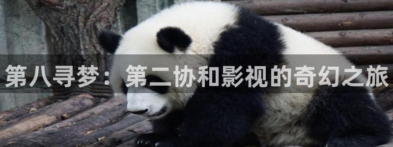 青苹果影院yy6090