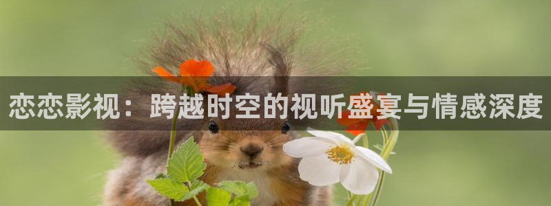 青萍果影院yy6090：恋恋影视：跨越时空的视听盛宴与情感深度