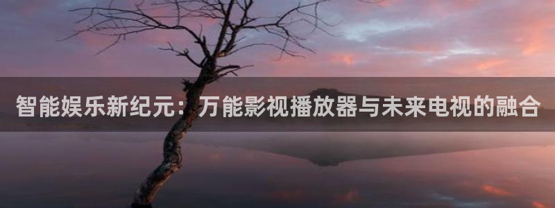 yy6090影院：智能娱乐新纪元：万能影视播放器与未来电视的融合